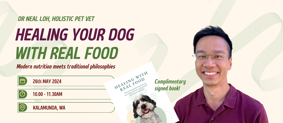 Healing Your Dog With Real Food