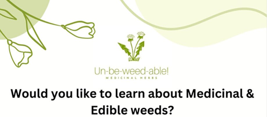 Un-be-weed-able! Medicinal & Edible weeds