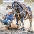 Gundagai Rodeo 2024