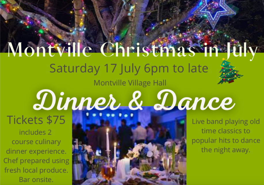 Montville Chamber Christmas in July Dinner & Dance
