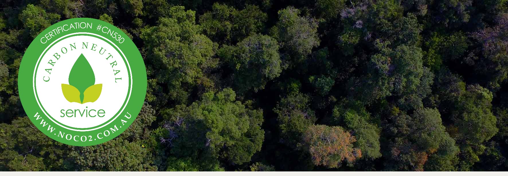 Tree Canopy at Rimba Raya Bio Diversity Reserve