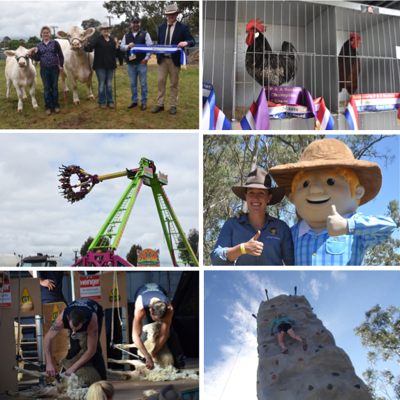 Naracoorte Show